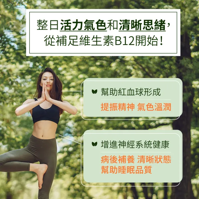 【德國 Natural Fit 活粒適】活性維生素B12膠囊 三入組 90粒/入(素食 單方500微克B12 神經系統健康)