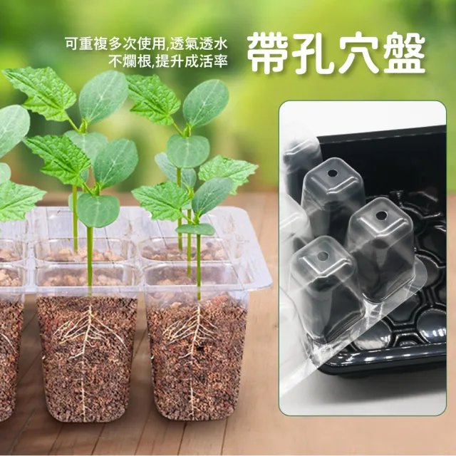 【種菜天】透氣型育苗種植盒-12孔(多功能 貓草 多肉栽培 植物扦插 園藝 盆穴 盤栽 播種 播苗盤 育苗盤)