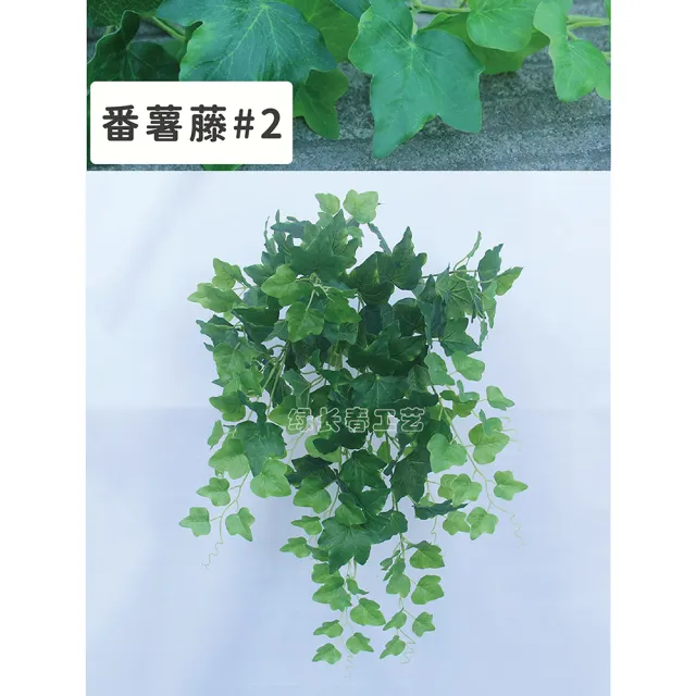 【Gardeners】仿真壁掛植物