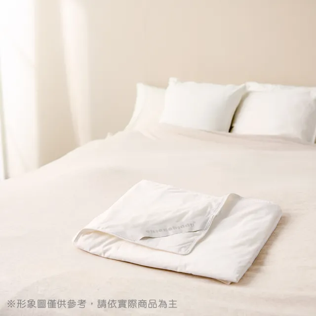 【奇哥官方旗艦】特級手工蠶絲被胎(105x135cm 棉被胎 四季被胎 防螨抗菌 輕量被胎)
