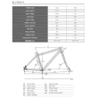 【Louis Garneau】LGS-CR23 W 女性 公路車 SHIMANO CLARIS 24速(窄距把手 鋁合金 自行車 單車 變速 環島)
