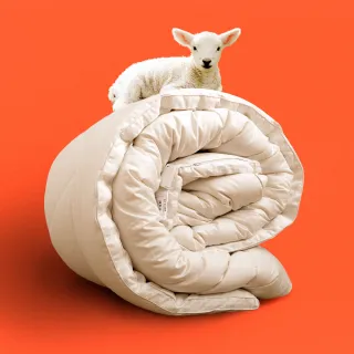 【田中保暖】3.5kg 100%法國純小羊毛雙人被 羊毛被 冬被 6x7尺(台灣製-純棉表布)