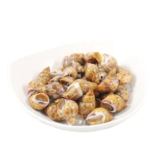 【賣魚的家】嚴選急凍風螺 共2包組(500G±3%/包)