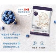 【R.J.T】加拿大A級藍莓果乾 60g(藍莓、果乾、加拿大)