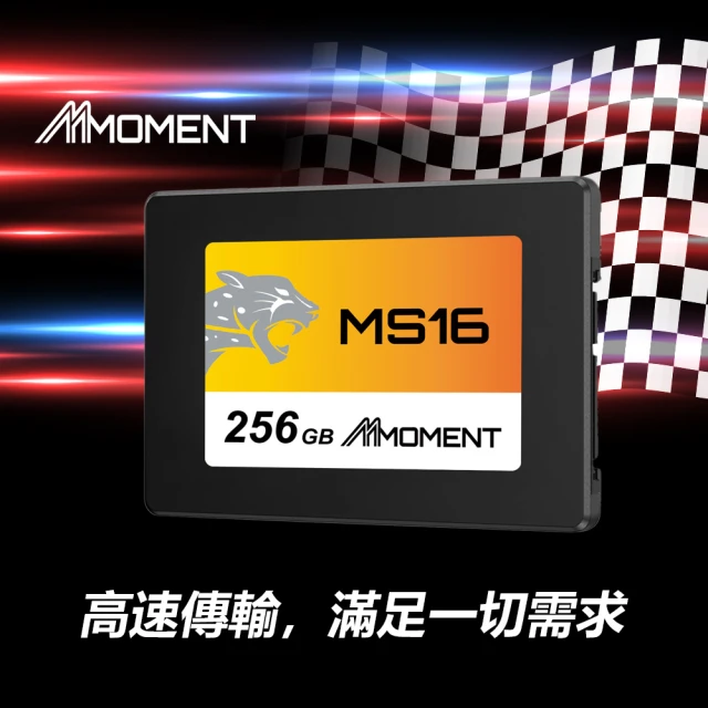 Moment MS16 SSD 256G(SSD 256GB)