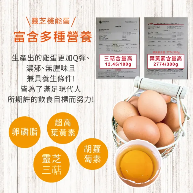 【初品果】富立牧場靈芝機能雞蛋60顆x1箱(白蛋_48小時內新鮮生產_無驗出普芬尼、戴奧辛)