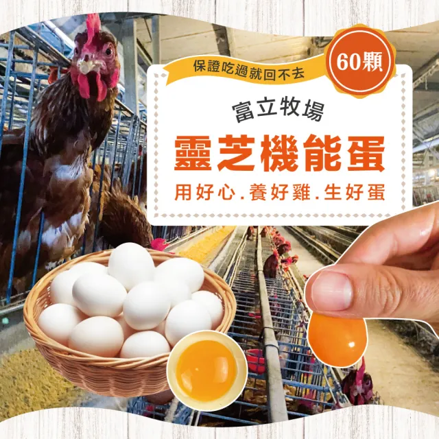 【初品果】富立牧場靈芝機能雞蛋60顆x1箱(白蛋_48小時內新鮮生產_無驗出普芬尼、戴奧辛)