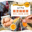 【初品果】富立牧場靈芝機能雞蛋30顆x1箱(彩色蛋_48小時內新鮮生產雞蛋_多項檢驗合格)