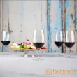 【Nachtmann】Vivendi 克拉芙醒酒壺+波爾多紅酒杯4件(紅酒獨享5件組)