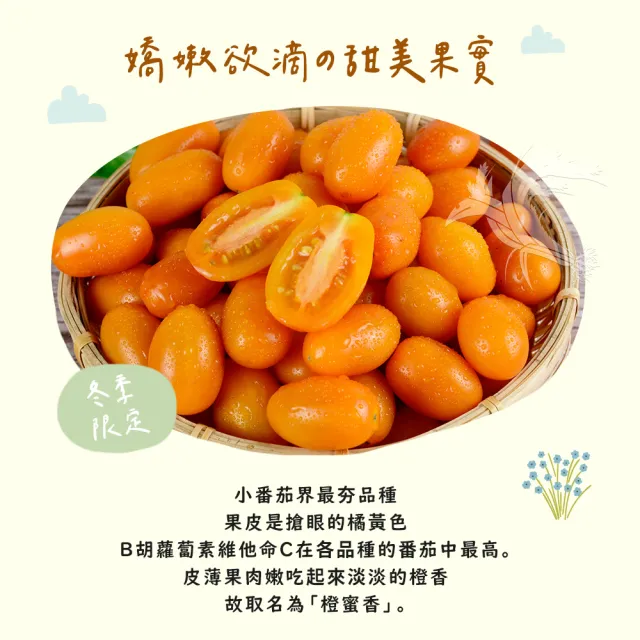 【禾鴻】橙蜜香小番茄禮盒5斤x6盒(不帶蒂頭出貨)
