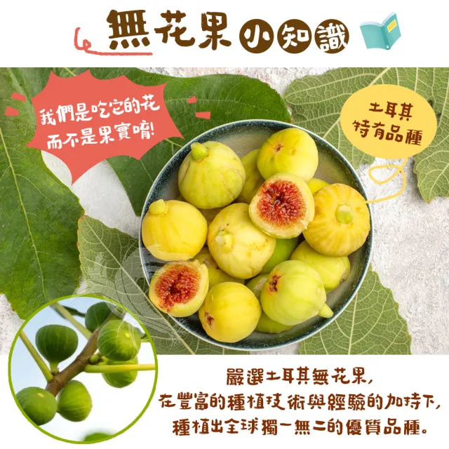 【美加摩根】土耳其無花果乾x2包(120g/包)