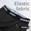 【Zebra Athletics】緊身防磨長褲男 ZPEASP01(男款 黑色 緊身褲 BJJ 巴西柔術 拳擊格鬥訓練 運動機能衣)
