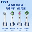 【德國百靈Oral-B-】電動牙刷 超細毛護齦刷頭EB60-6(6入)