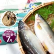 【急鮮配-優鮮配】宜蘭特選XXL一品極鮮爆卵母香魚 7尾(1300g/包-凍)