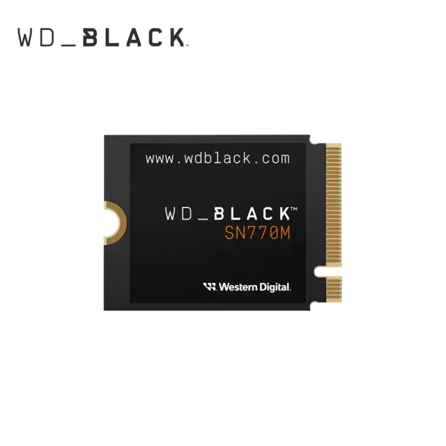 WD 威騰 藍標 SN580 1TB M.2 2280 PC