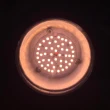 【JIUNPEY 君沛】15W 加強型光譜E27植物燈泡(植物生長燈)