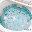 【GOOD LIFE 品好生活】日本製 洗衣槽專用清潔劑（100g/包）(日本直送 均一價)