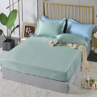 【Betrise】抗菌天絲素色枕套床包二件組-獨立筒適用加高床包- 晨暮破曉(單人)