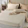 【Betrise】抗菌天絲素色枕套床包三件組-獨立筒適用加高床包- 窗台秘密(加大)