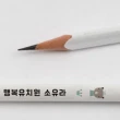【HAWAHEE】客製化姓名鉛筆 白色三角2B 可愛文具 小學生學習握筆 12支/盒 森林小動物