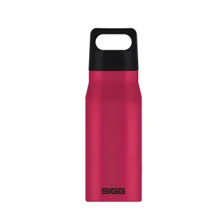 【SIGG】探險家不鏽鋼冷水瓶 750ml(提環加大 攜帶方便)