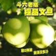 【台灣紅】斗六55年正宗老欉文旦5斤x2盒(5-9顆/5斤/中秋禮盒_共10斤_中秋柚子)買一送一
