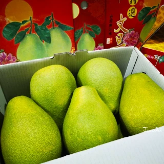 【台灣紅】斗六48年正宗老欉文旦10斤x2盒(7-12顆/10斤/中秋禮盒_共20斤_中秋柚子)