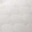 【媚格德莉MIGRATORY】泰國100%天然顆粒乳膠枕工學型(12cm/2入)