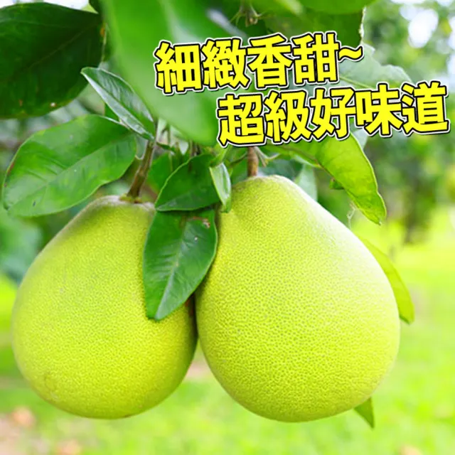 【台灣紅】麻豆60年極品文旦5斤x2盒(6-9顆/5斤/禮盒_共10斤/中秋禮盒_頂級老欉小果_中秋柚子)