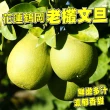 【台灣紅】鶴岡60年老欉特級文旦5斤x1盒(頂級老欉小果_6-9顆/5斤/中秋禮盒_中秋柚子)