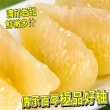 【台灣紅】斗六48年正宗老欉文旦10斤x1盒(7-12顆/10斤/中秋禮盒_中秋柚子)