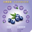 【正官庄】高麗蔘藍莓飲4盒組(50mlX30入)