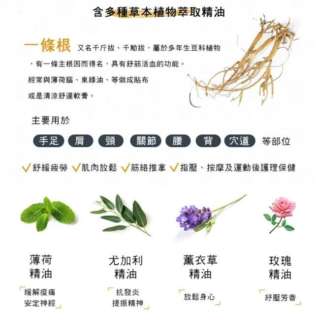 【金牌一條根】金門一條根草本植物貼布-3入組(10片/入)