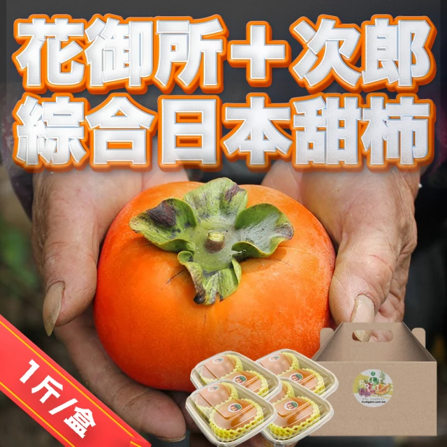 果樹寶石 梨山富有特大甜柿5入x1盒（2.7斤/盒）（9兩/