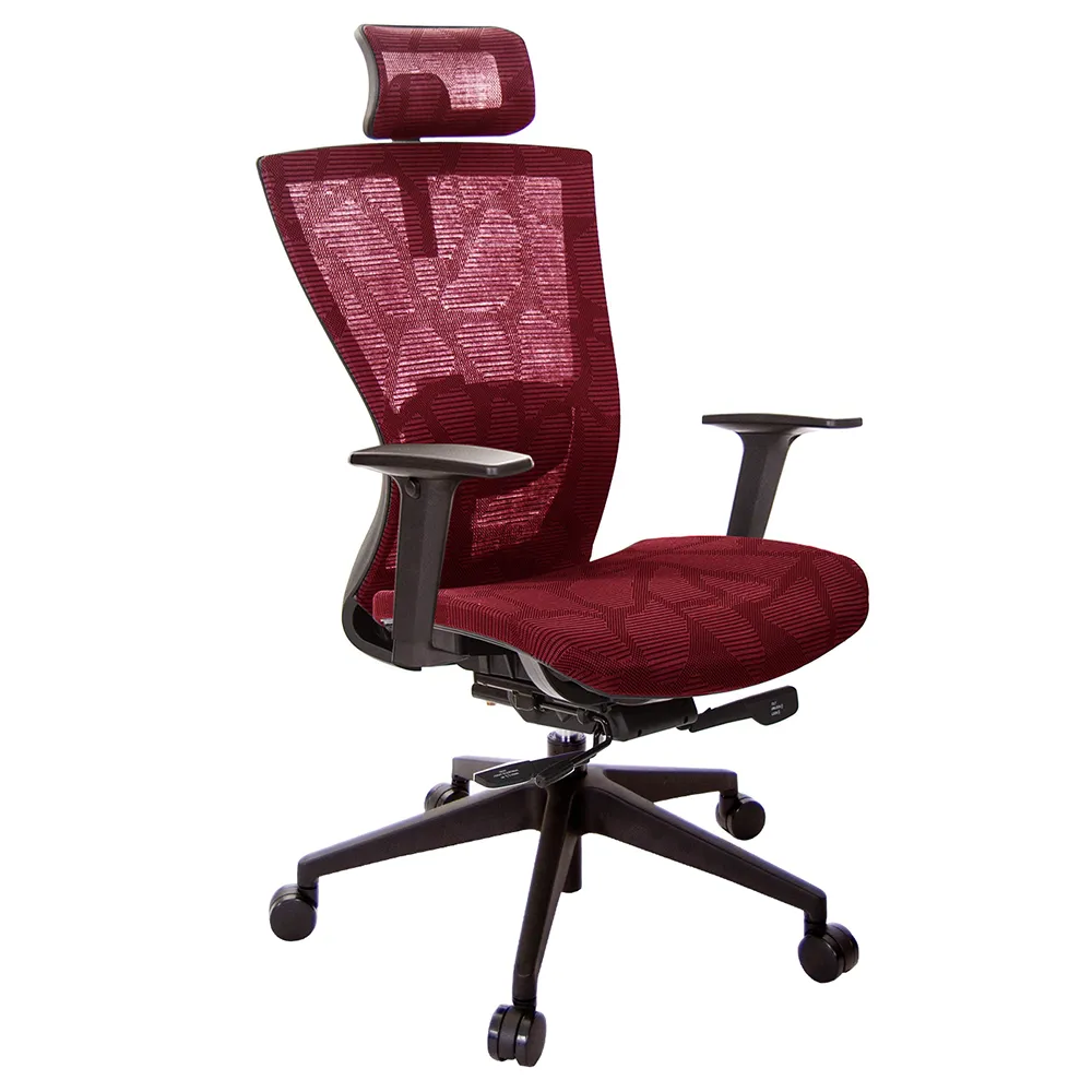 【GXG 吉加吉】高背電腦椅 2D扶手(TW-81Z5 EA2)