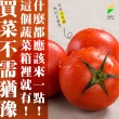 【菜霸子】蔬菜箱(活力蔬菜組合箱-組合隨機 廠商直送 現貨)