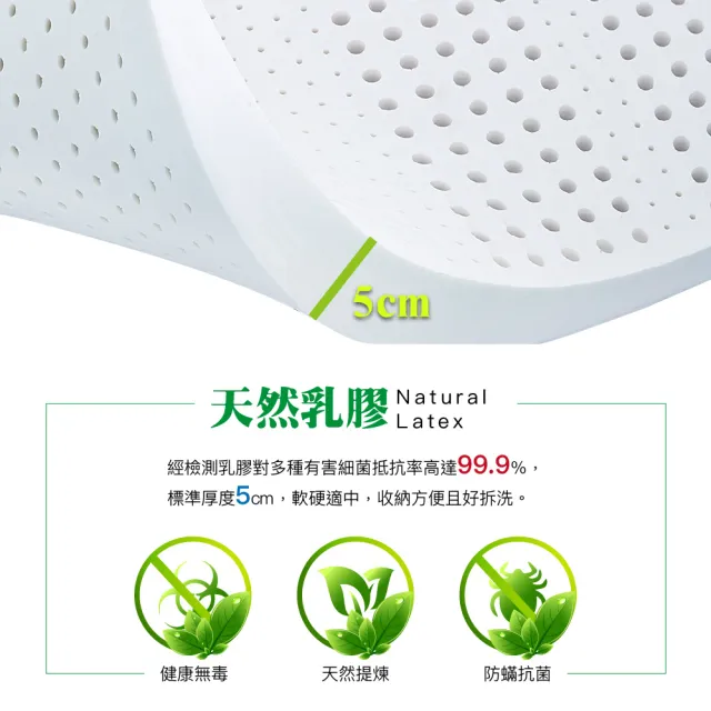 【ISHUR 伊舒爾】贈素色專用布套 100%天然乳膠床墊5公分 雙人5尺(日式床墊/乳膠墊/可折疊/附專用收納袋)