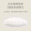 【Light Live】買1送1 透氣獨立筒枕 枕頭(獨立筒 獨立筒枕 羽絲絨枕 抱枕 靠枕 枕 飯店枕)