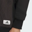 【adidas 愛迪達】上衣 男款 長袖上衣 運動 亞規 ST WF SWEATS 黑 IP4982