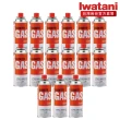 【Iwatani 岩谷】日本原裝瓦斯罐250g 五組共15入(CB-250-OR-05)