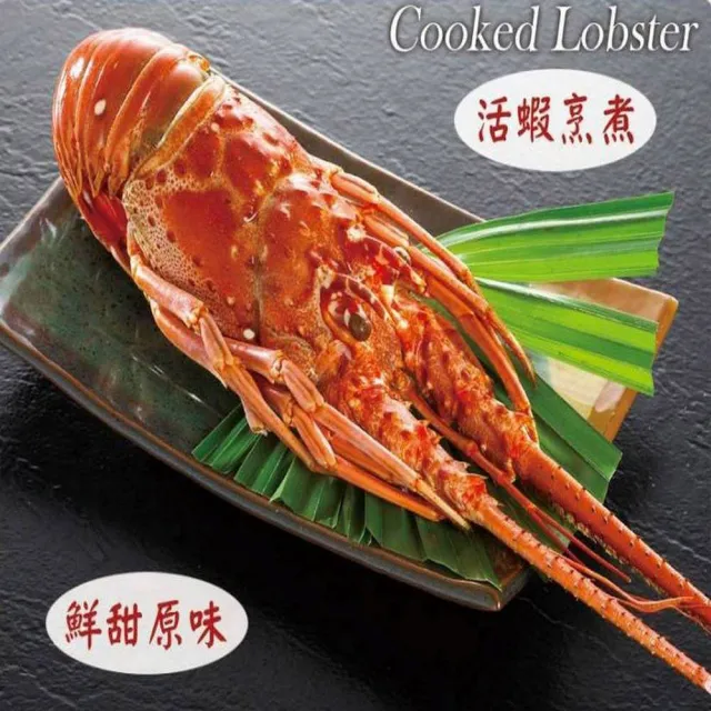 【2026】龍蝦推薦ptt》10款高評價人氣品牌排行榜 | 好吃美食的八里人