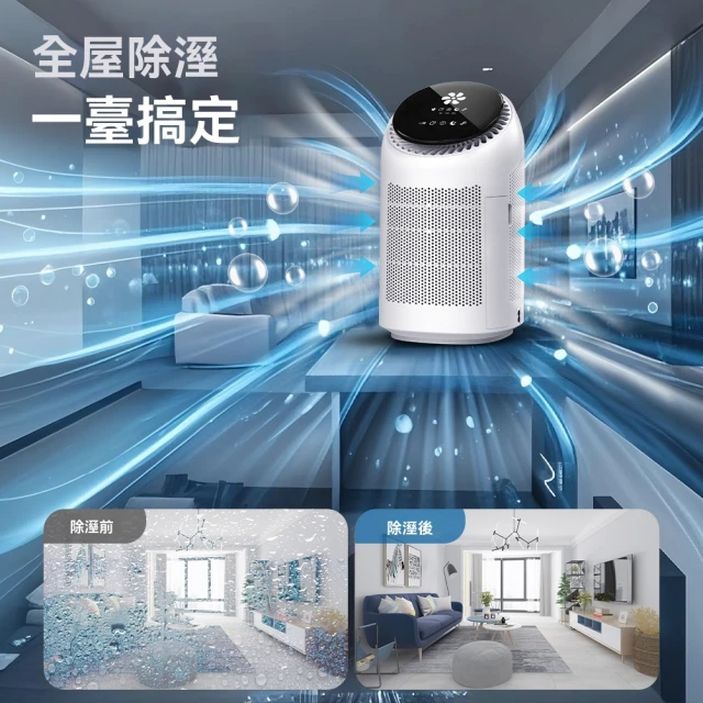 【Felsted 菲仕德】空氣清淨機 空氣淨化器 淨化除濕機(等離子淨化 防潮/除甲醛/淨化除濕/去異味)