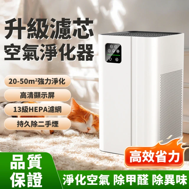 【Felsted 菲仕德】空氣清淨機 空氣淨化器 桌上型淨化器(負離子空氣淨化 家用除二手菸 除甲醛/消毒/除異味)