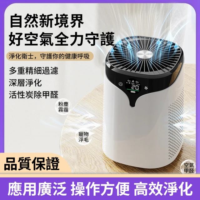 【Felsted 菲仕德】空氣清淨機 空氣淨化器 桌上型淨化器(除醛除味/淨化空氣/活氧殺菌/除異味/小型家用)