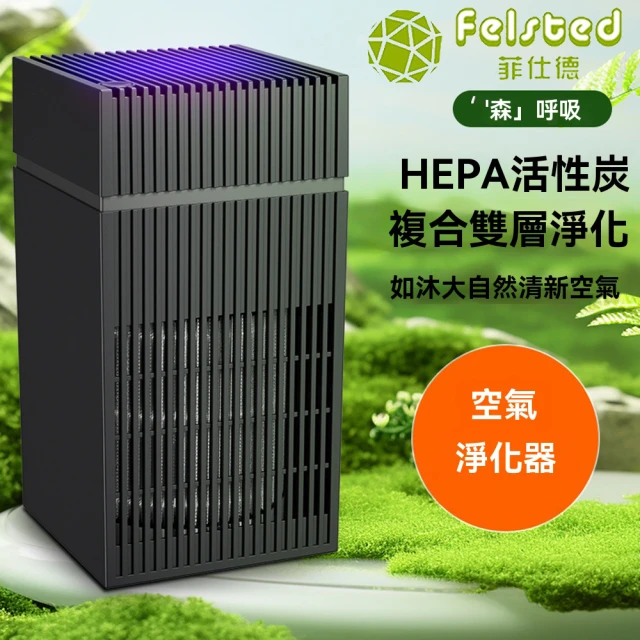 【Felsted 菲仕德】空氣清淨機 負離子淨化器 臭氧消毒機(家用除甲醛 除二手煙 空氣淨化 除異味)
