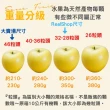 【RealShop】日本青森toki土歧28-32粒頭 4kg±10%x1盒(11-13顆禮盒_水蜜桃蘋果)