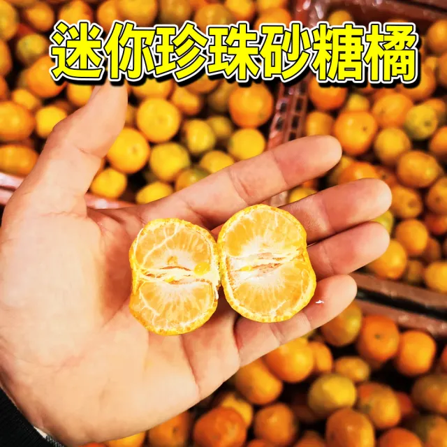 買一送一 迷你珍珠砂糖橘(3斤/箱-共6斤)