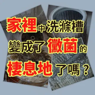 【雞仔牌】日本雞仔牌 99.9% 洗衣槽清潔劑 550g(除菌 消臭 去汙除霉 洗衣機除菌 洗衣槽)