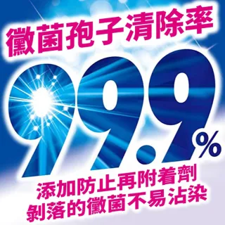 【雞仔牌】日本雞仔牌 99.9% 洗衣槽清潔劑 550g(除菌 消臭 去汙除霉 洗衣機除菌 洗衣槽)