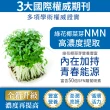 【美壽壽】鱘基力NMN MAX膠囊30顆/盒(MSM、鱘龍魚膠原蛋白、柑橘、綠花椰菜芽)